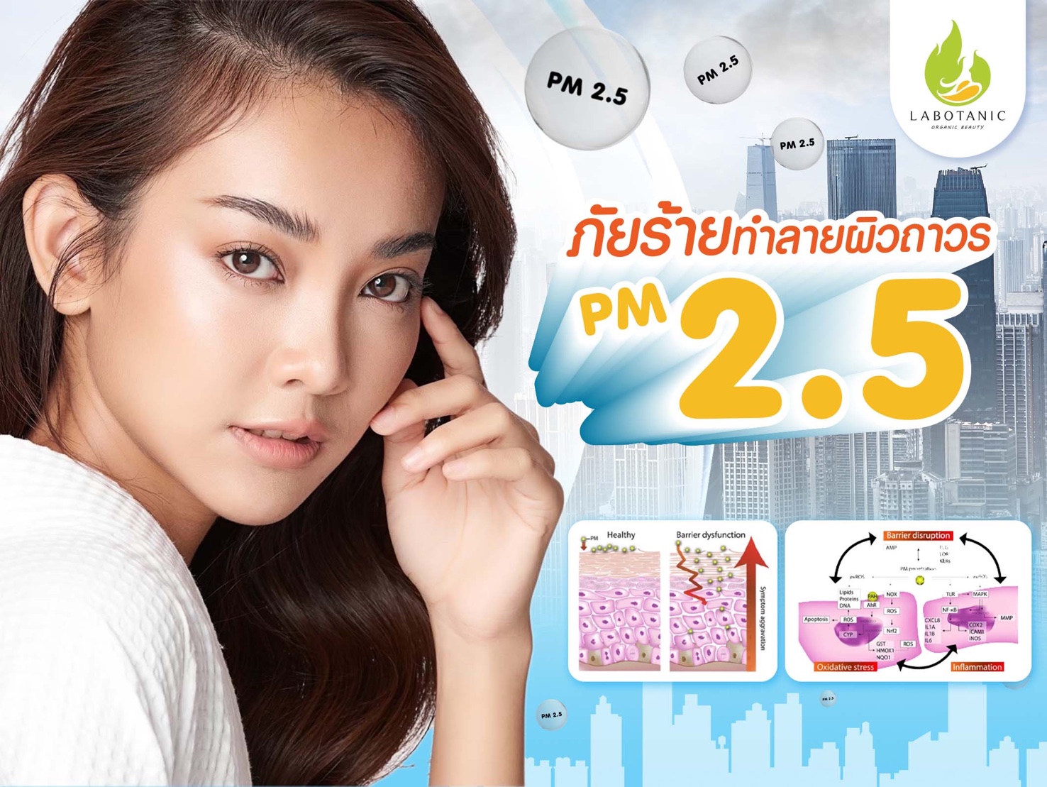 PM2.5 ภัยร้ายทำลายผิวถาวร